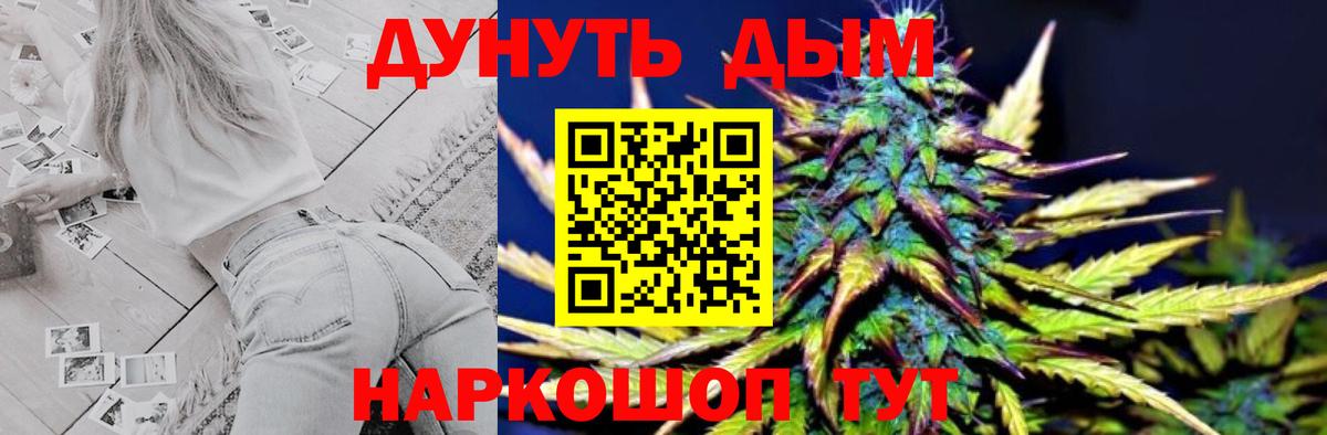 МАРИХУАНА OG Kush  Конопля OG Kush  МАРИХУАНА семена  Вход с VPN  Петровск  Канабис VHQ 